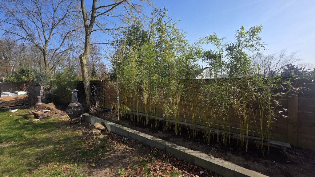 Afbeelding #2 van Melissa Kuys-Rademakers